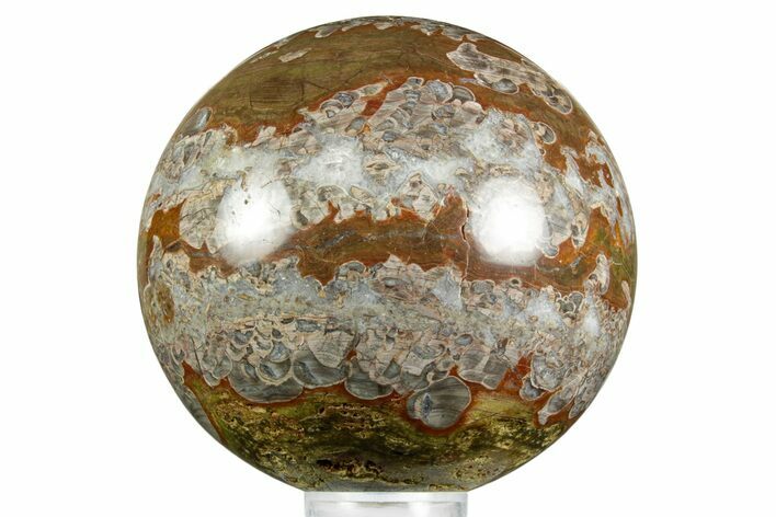 Polished Mushroom Jasper Sphere - Arizona #371133